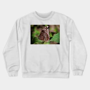 Butterfly. Crewneck Sweatshirt